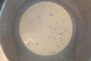 vanilla bean honey custard in a stainless steel mixing bowl.