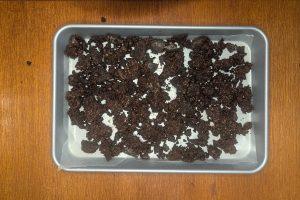 ice cream cake crunchies on a baking sheet before chilling.