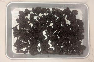 Ice cream cake crunchies on a baking sheet after chilling.