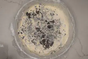 chilled Vermonty Python ice cream in a springform pan.